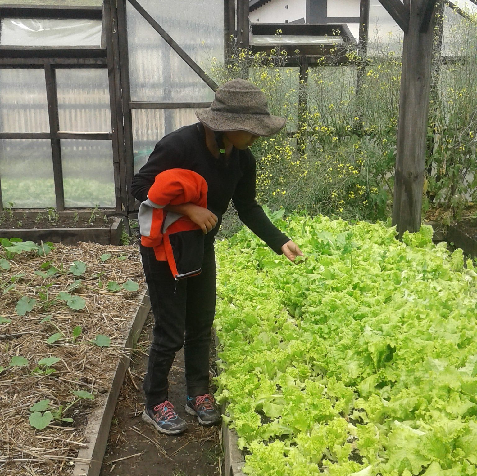 Knowledge exchange at a market garden in Patagonia Chile