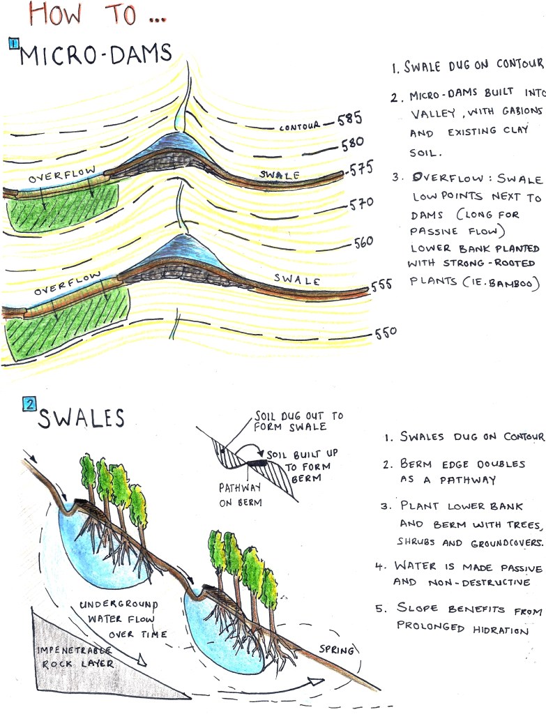 Diagram explaining function and use of swales for a client in Brazil